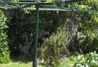Cromer VICvegetable-gardens-13.jpg; ?>