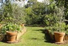 Cromer VICvegetable-gardens-3.jpg; ?>